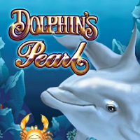 dolphins-pearl