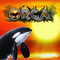 orca